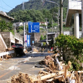 矢野東保育園の写真2