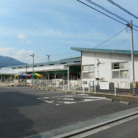 八幡東保育園の写真2