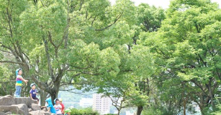 認定こども園くすの木祇園