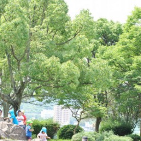 認定こども園くすの木祇園の写真2