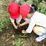 西亀有保育園の写真5