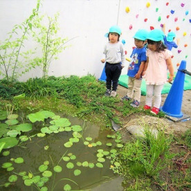 ゆめの樹保育園しんこいわの写真4
