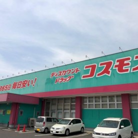 新涯幼稚園の写真2