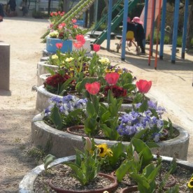 八本松中央幼稚園