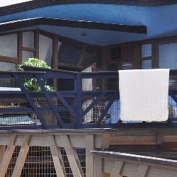 古田幼稚園