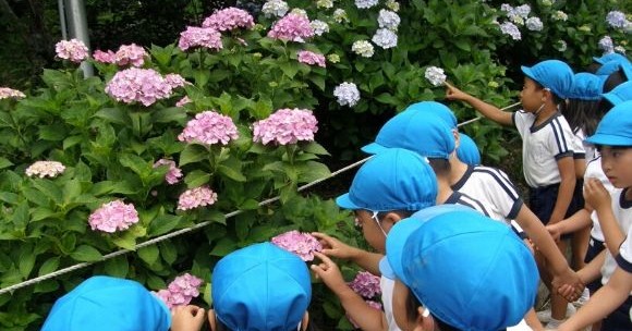 福山りじょう幼稚園