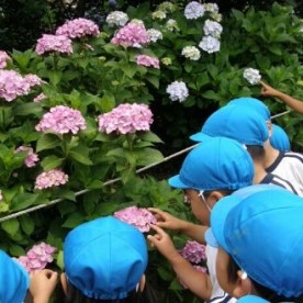 福山りじょう幼稚園