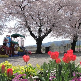 細野保育園