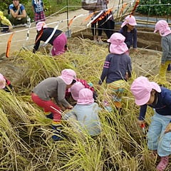 弘済保育所おひさま保育園の写真3