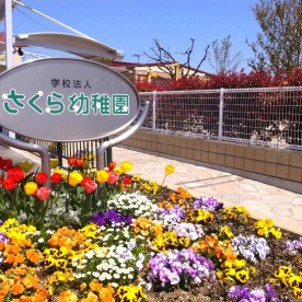 さくら幼稚園の写真2