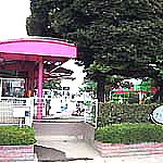 さくら幼稚園の写真3