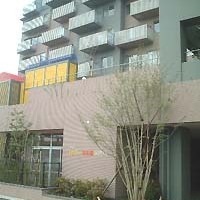 茶々ｉタワー花の森保育園