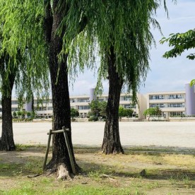綿打幼稚園の写真2
