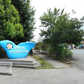 とりやまこども園