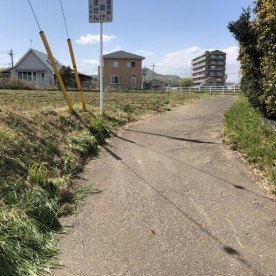 こばと保育園の写真2