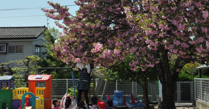 恵泉幼稚園