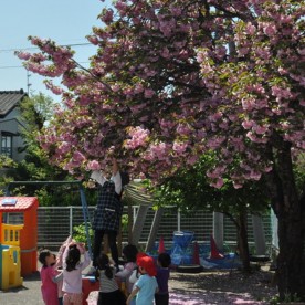 恵泉幼稚園