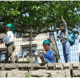 京王キッズプラッツよみうりランドの写真3