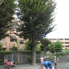 西東京市立はこべら保育園の写真5