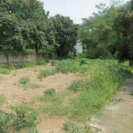 西里保育園
