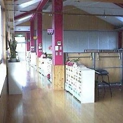 木の実保育園の写真3