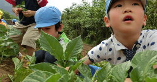 氷川保育園