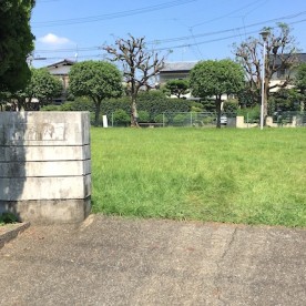 むつみ保育園の写真2