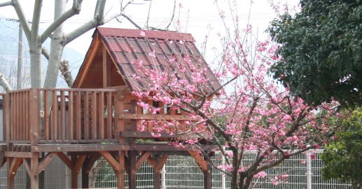 河内からたち保育園