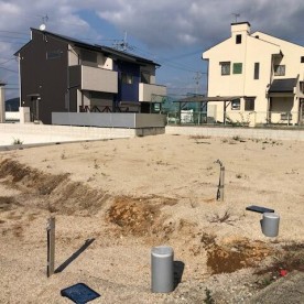 あすなろ