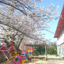 第二四ツ山幼稚園