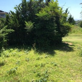 杉水保育園の写真2