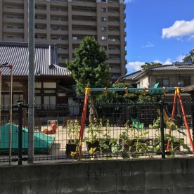 みのり保育園の写真2