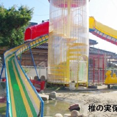 椎の実保育園の写真1