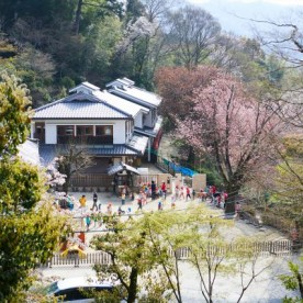 松ヶ崎こども園の写真2