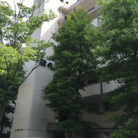 高野保育園
