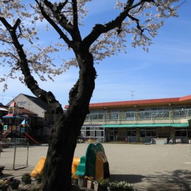 さくら保育園