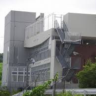 りすのき保育園の写真3