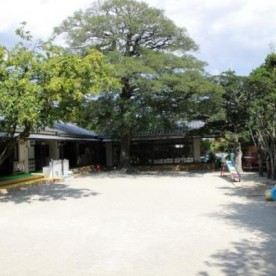 認定こども園　まこと幼児園