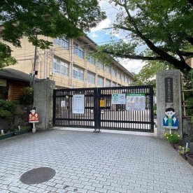 若竹保育園の写真2