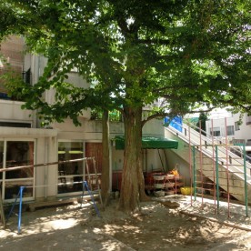 桂保育園