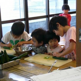 みつばち保育園