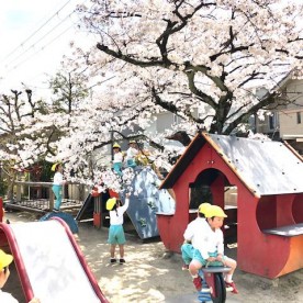 かつらのみや保育園の写真3