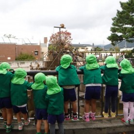伏見幼児園の写真2