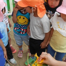 下鳥羽こども園