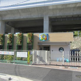 淀白鳥保育園