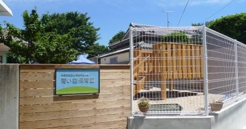 青い空保育園
