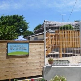 青い空保育園