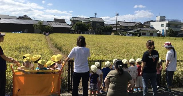 かつらのもり保育園