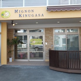 ＭＩＧＮＯＮ　ＫＩＮＵＧＡＳＡ
