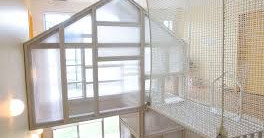 狛江ちとせ保育園